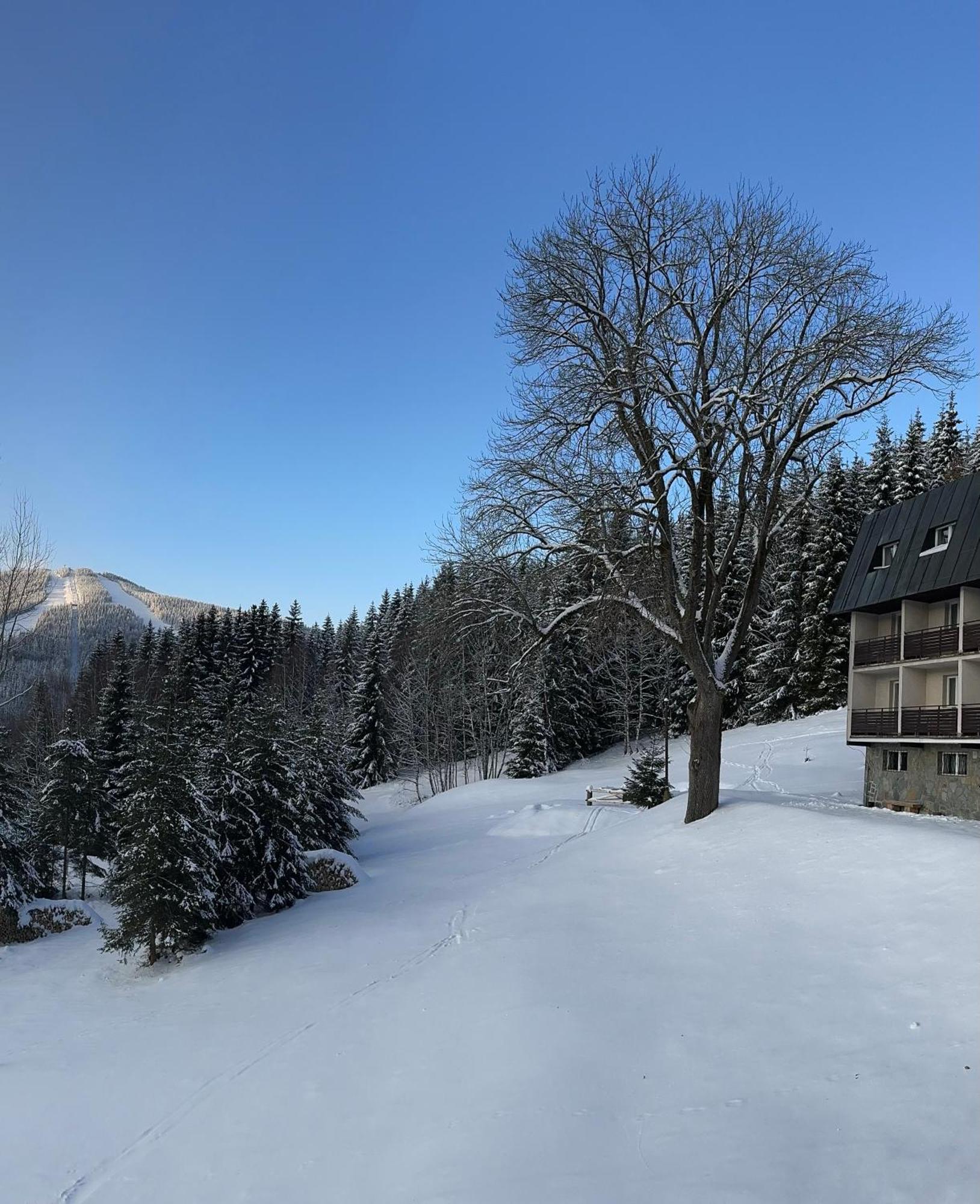 Hotel Horni Pramen Špindlerŭv Mlýn Exterior foto